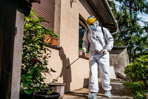 Best Pest Inspection Near Me  in West Deland, FL