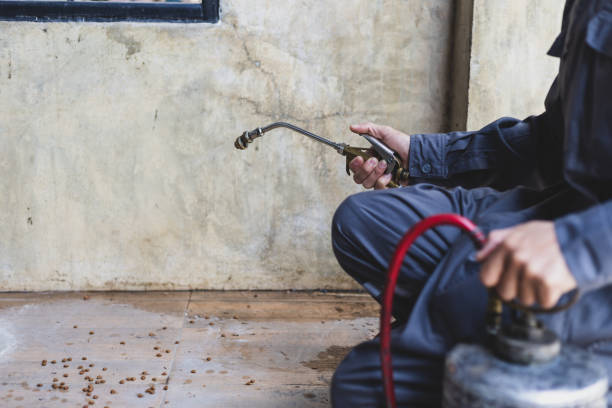 Best Local Pest Control Services  in West Deland, FL